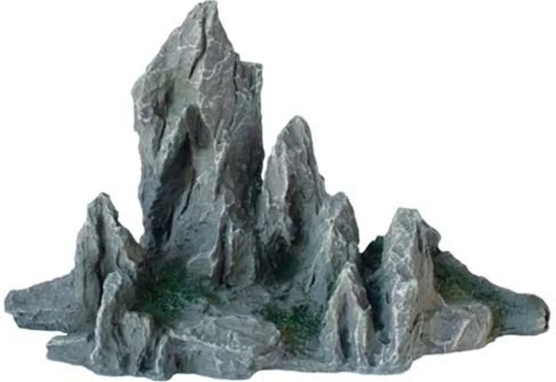 olibetta21000