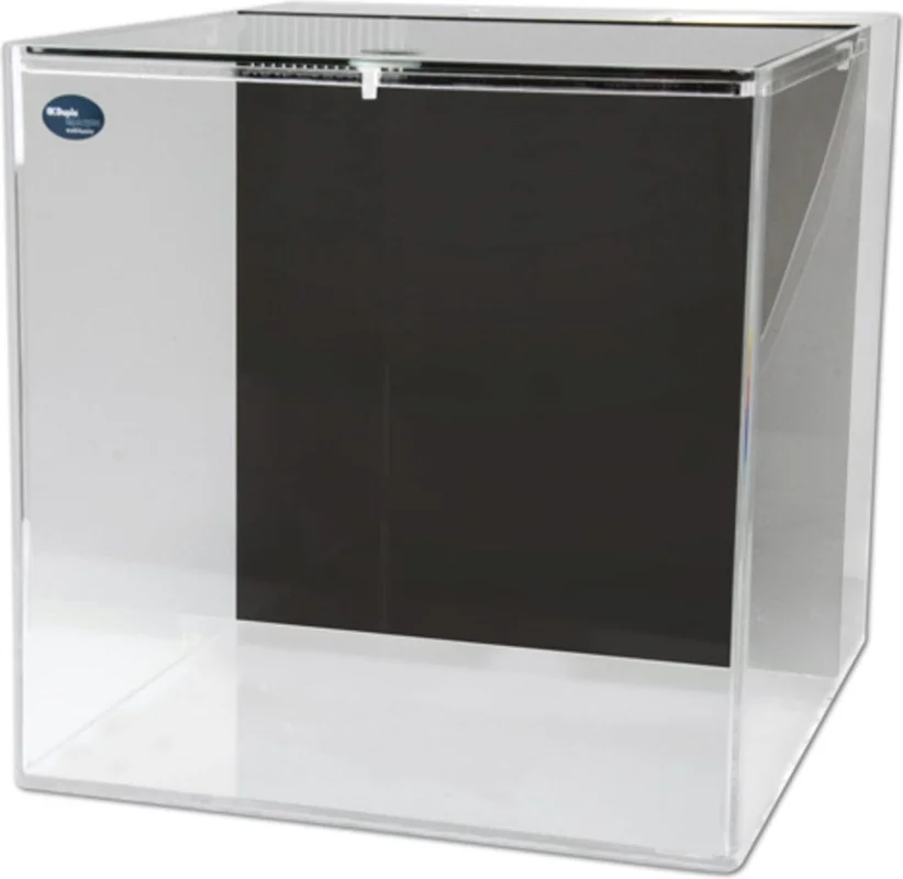 olibetta21035