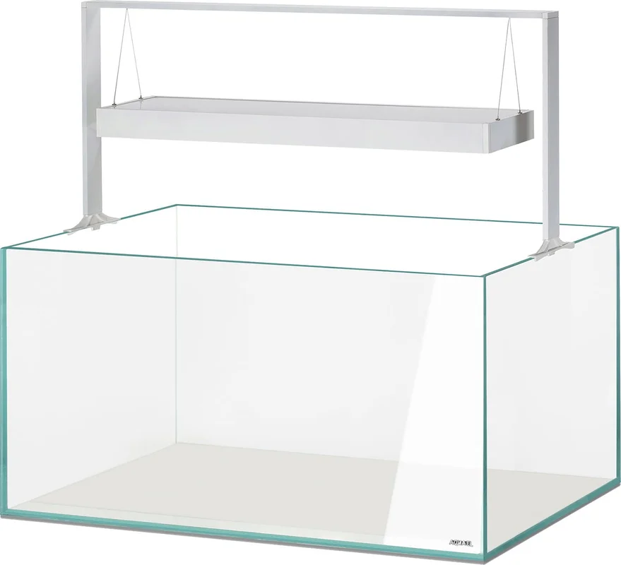 olibetta21094
