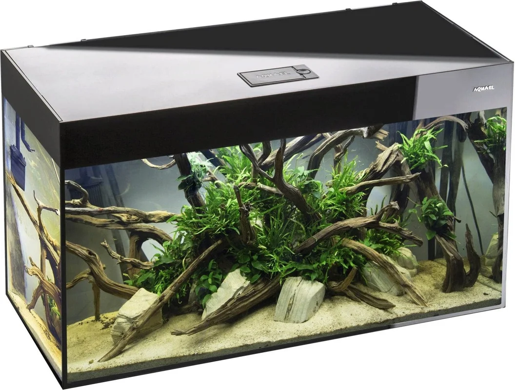 olibetta21134