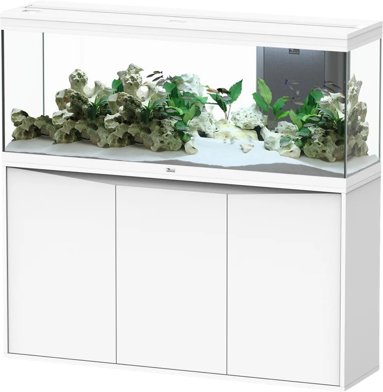 olibetta21222