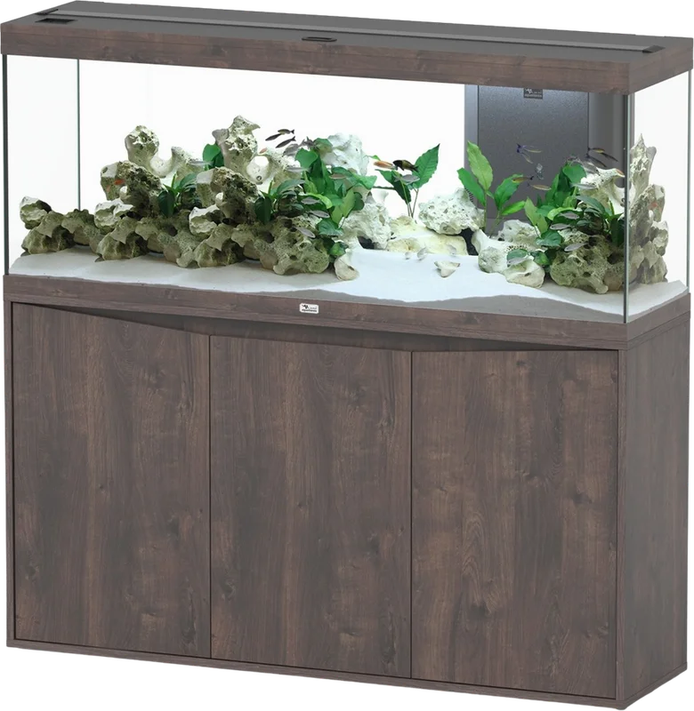olibetta21231