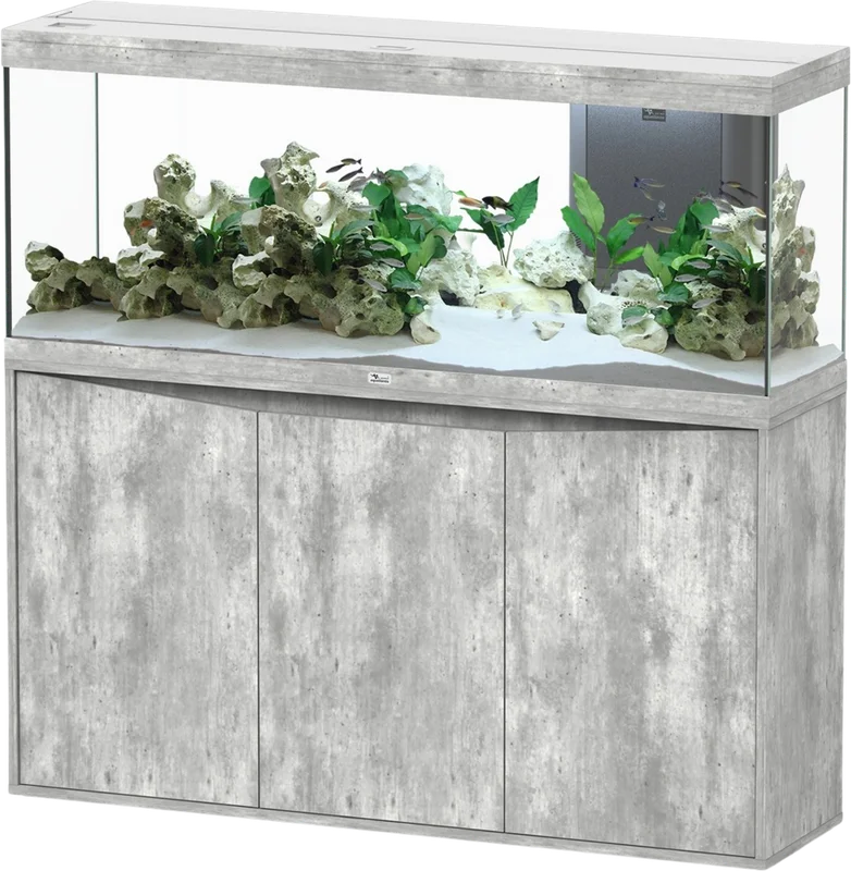 olibetta21238