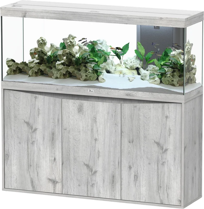 olibetta21244