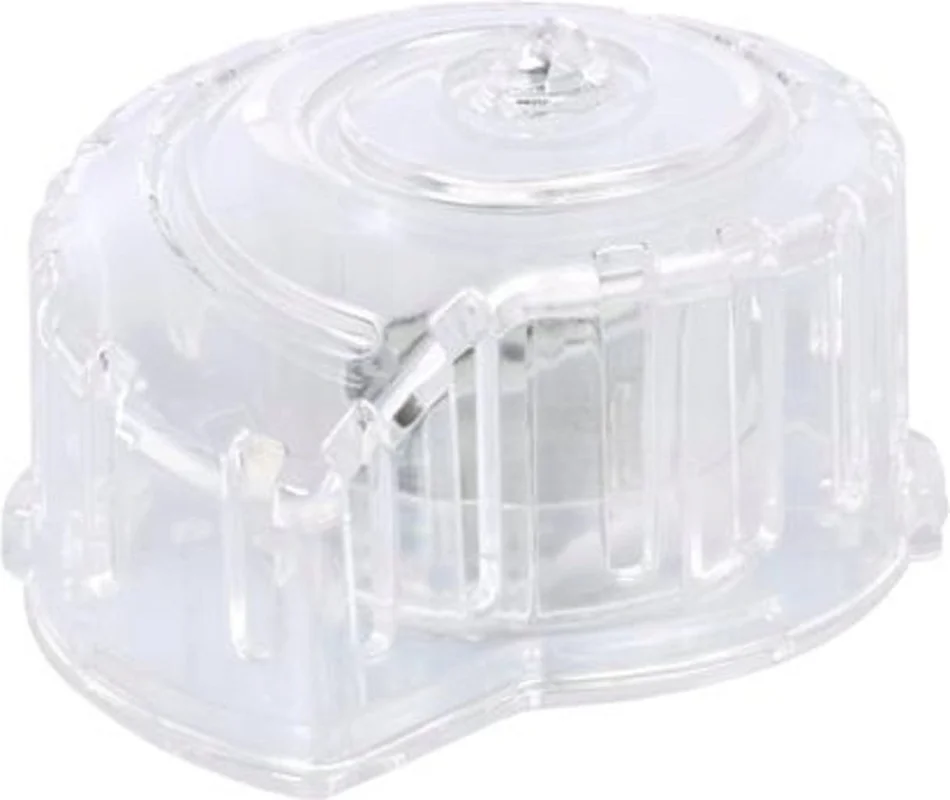 olibetta21258