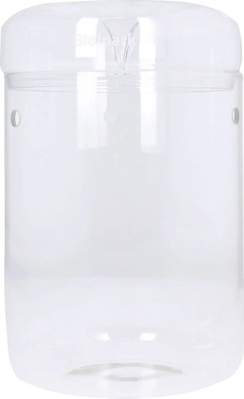 olibetta21337