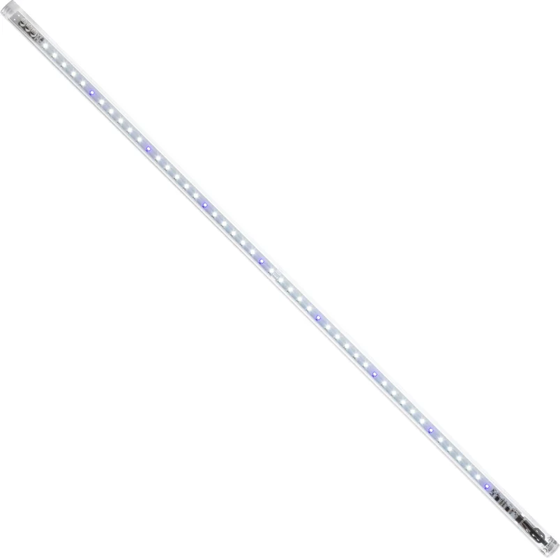 olibetta21597