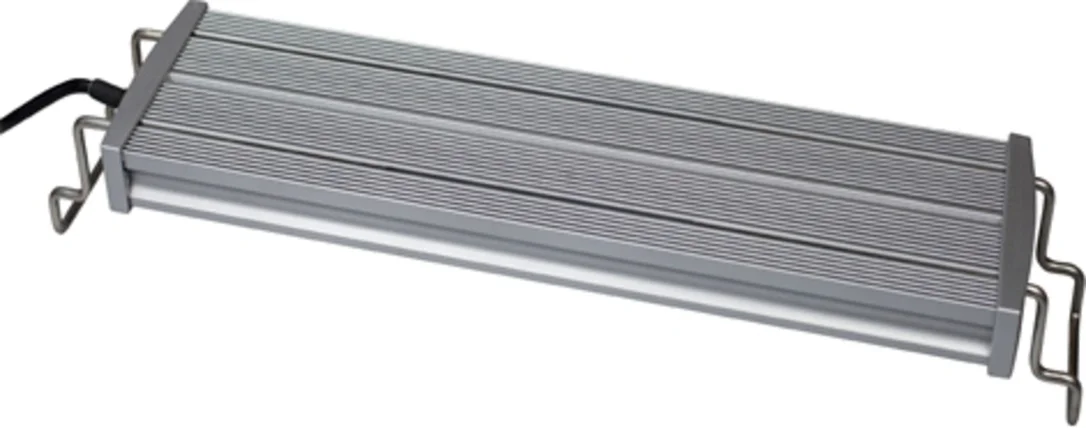 olibetta21655