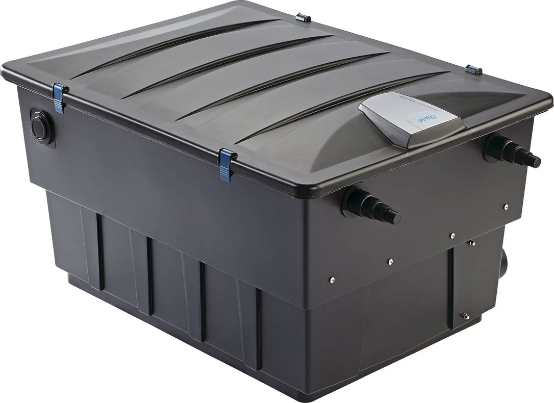 olibetta21783