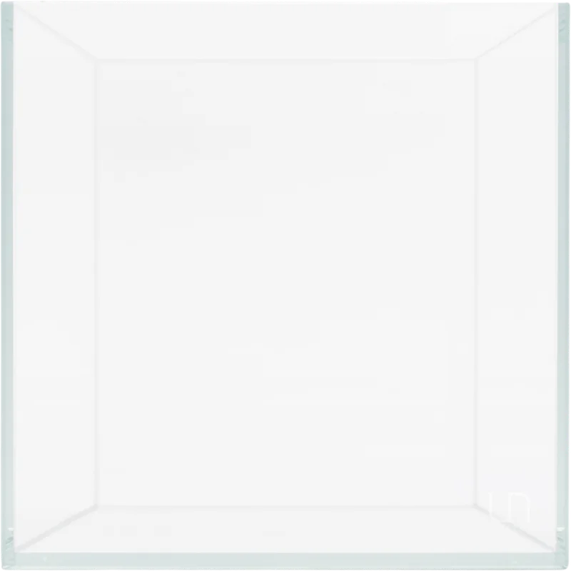 olibetta21799