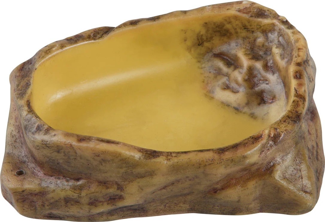 olibetta22626