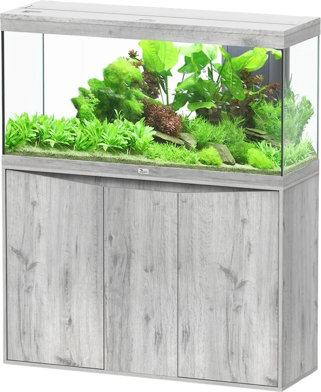 olibetta23861