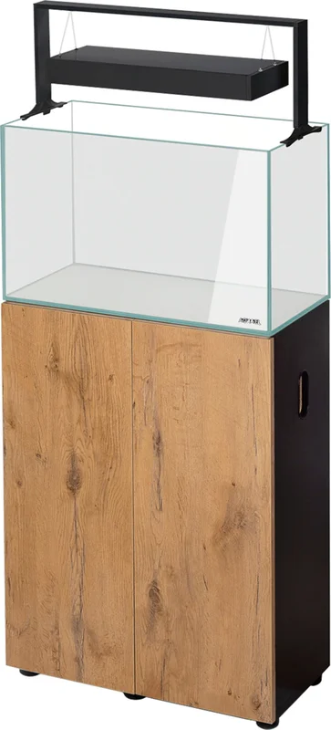 olibetta23873