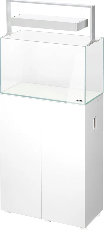 olibetta23882