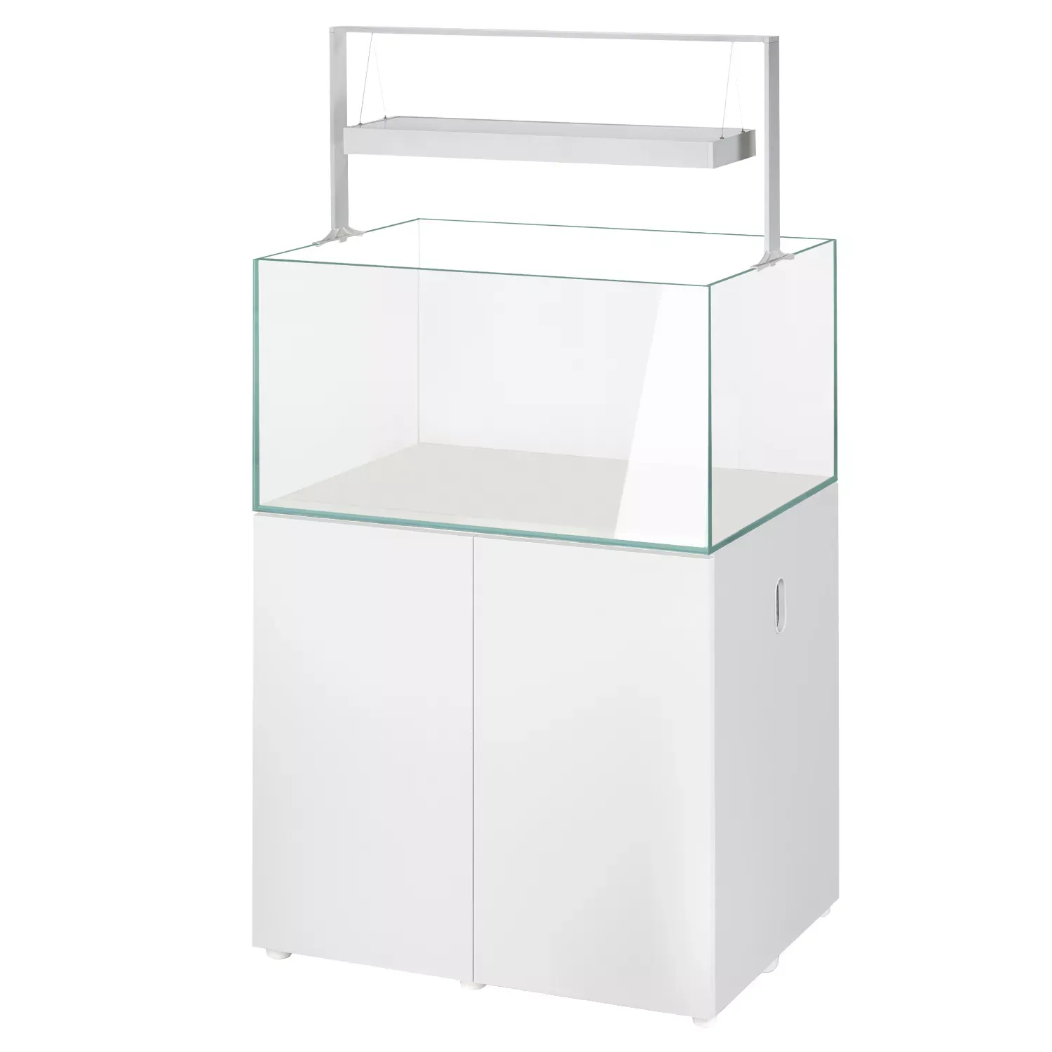 olibetta23903