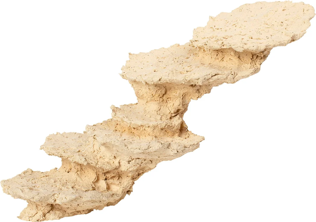 olibetta23949