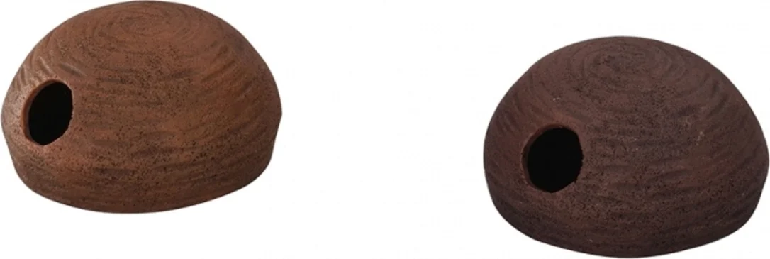 olibetta240