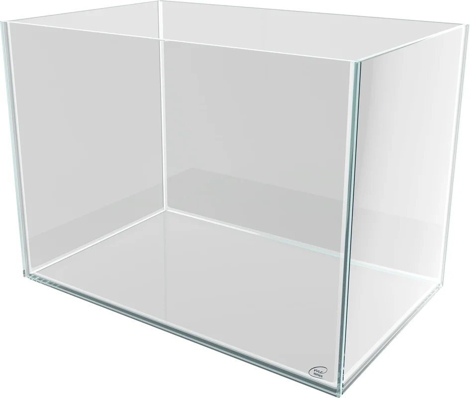 olibetta24158