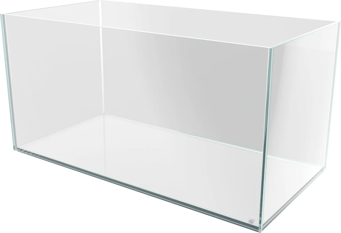olibetta24218