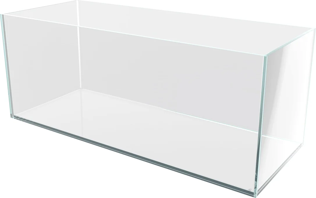 olibetta24226