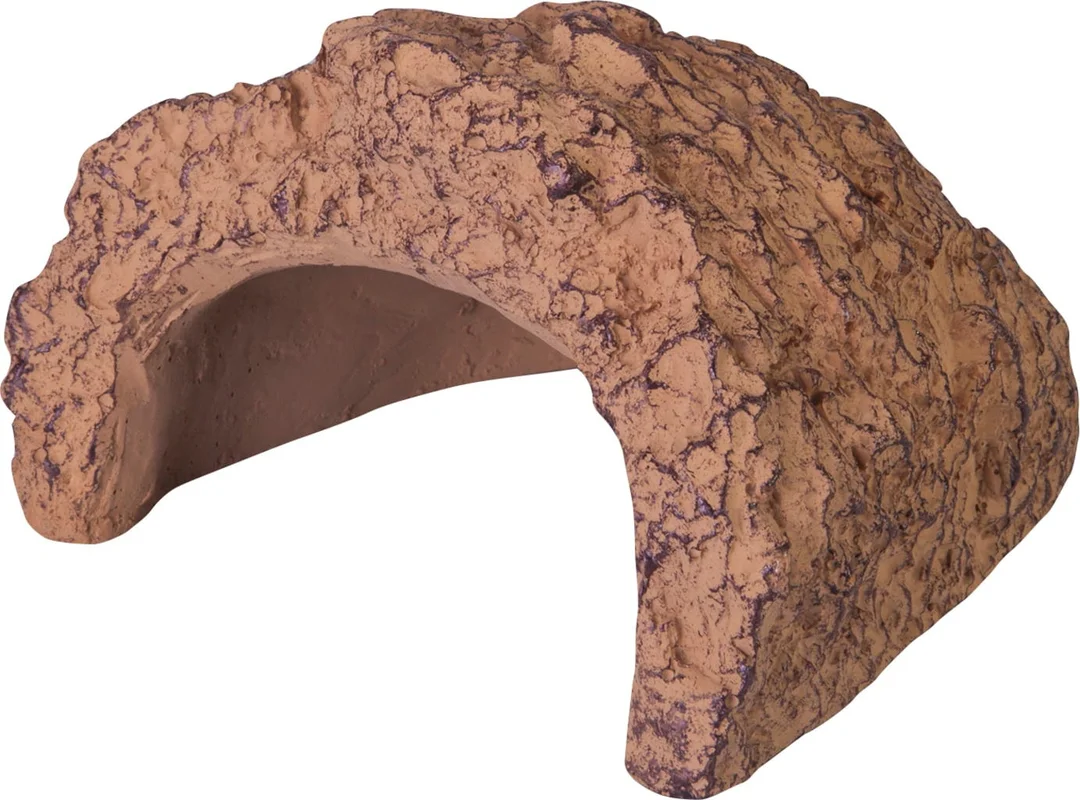 olibetta25223