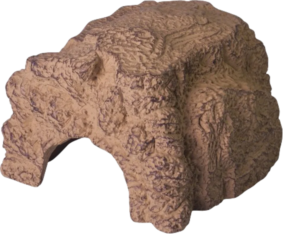 olibetta25231