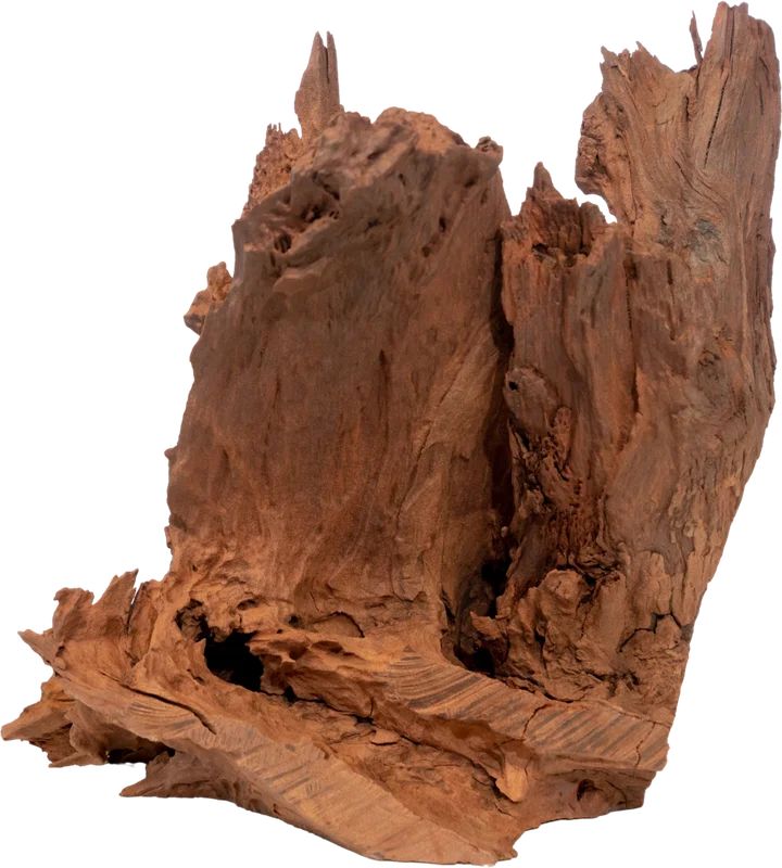 olibetta2547