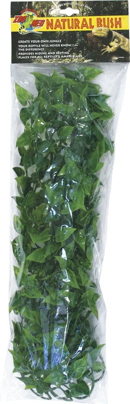 olibetta25539