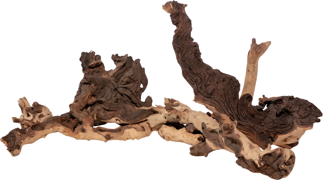 olibetta2591