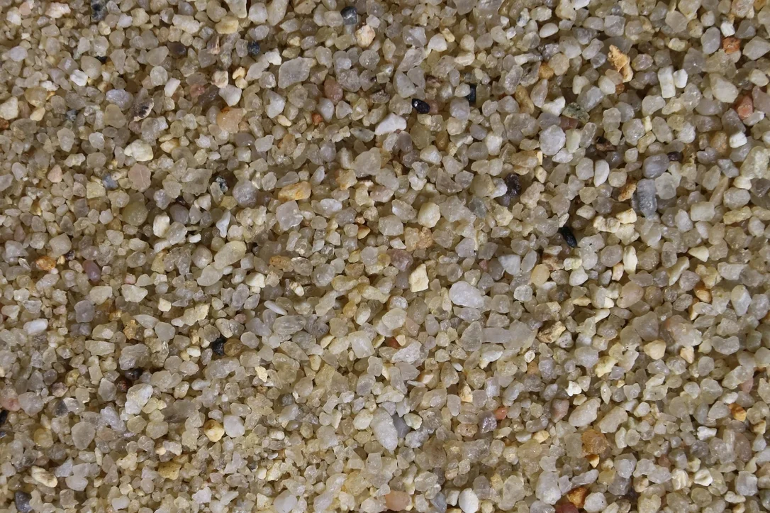 olibetta2623
