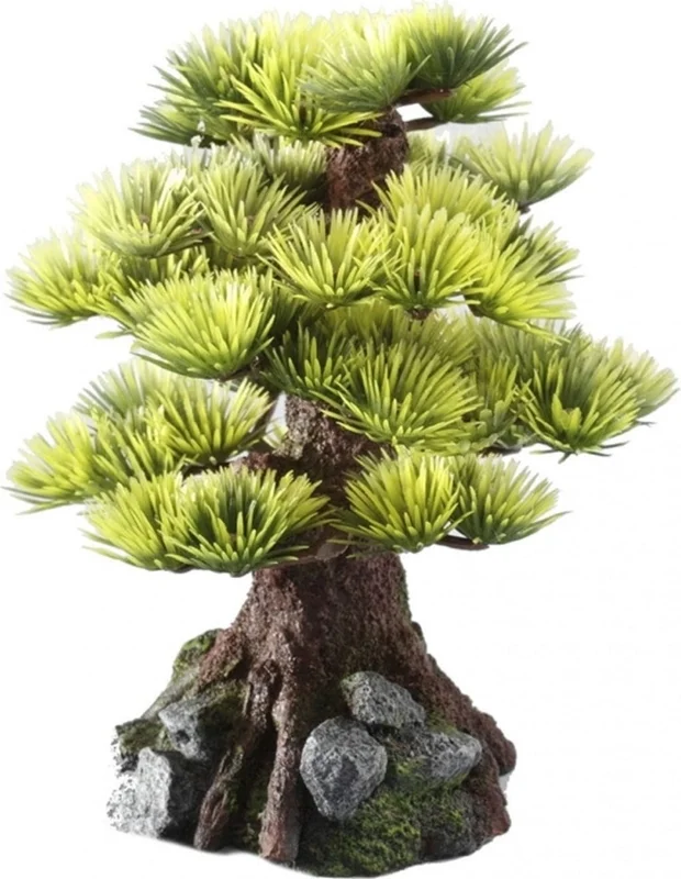 olibetta265