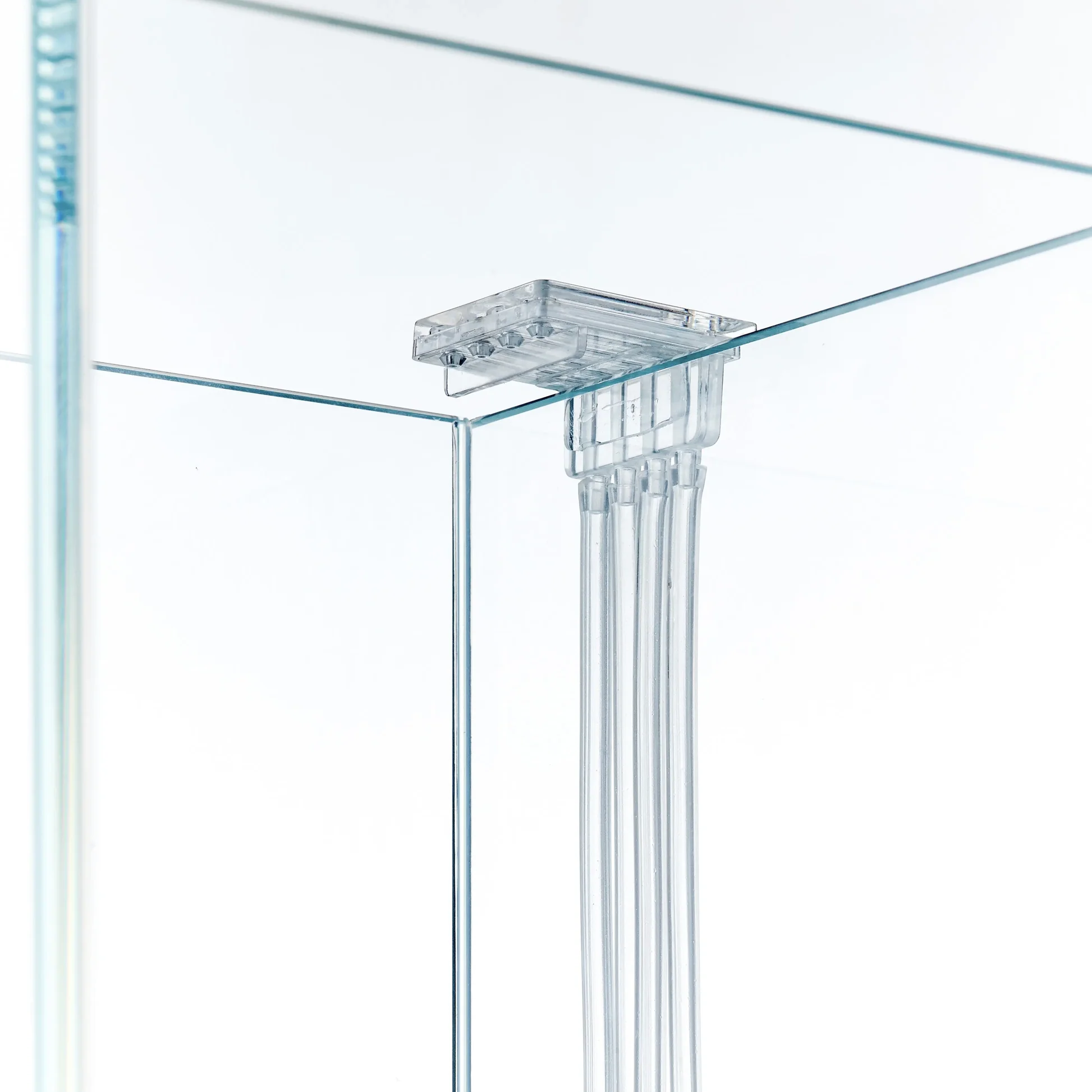 olibetta26541