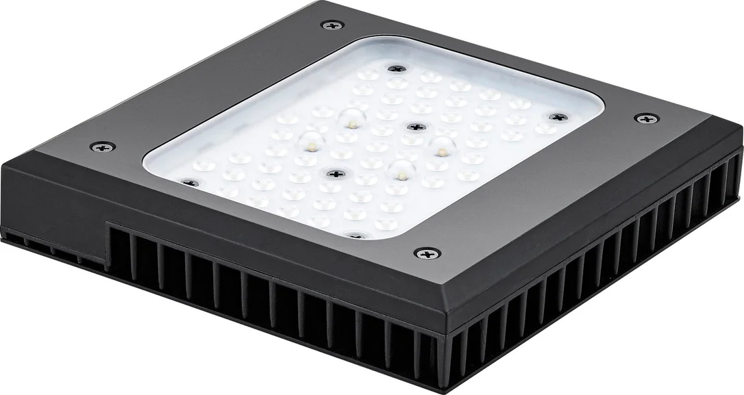 olibetta26590