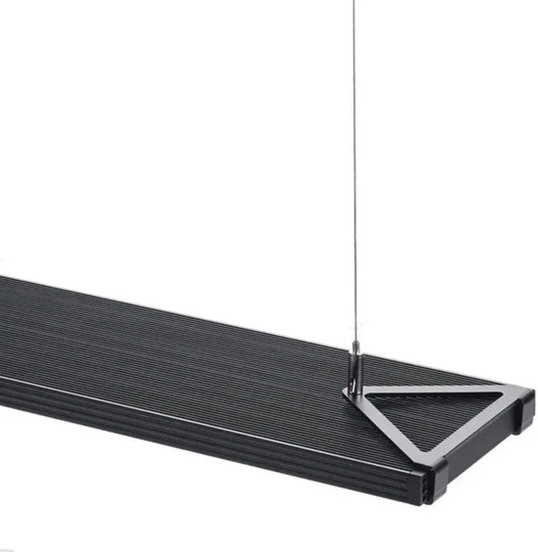 olibetta26702