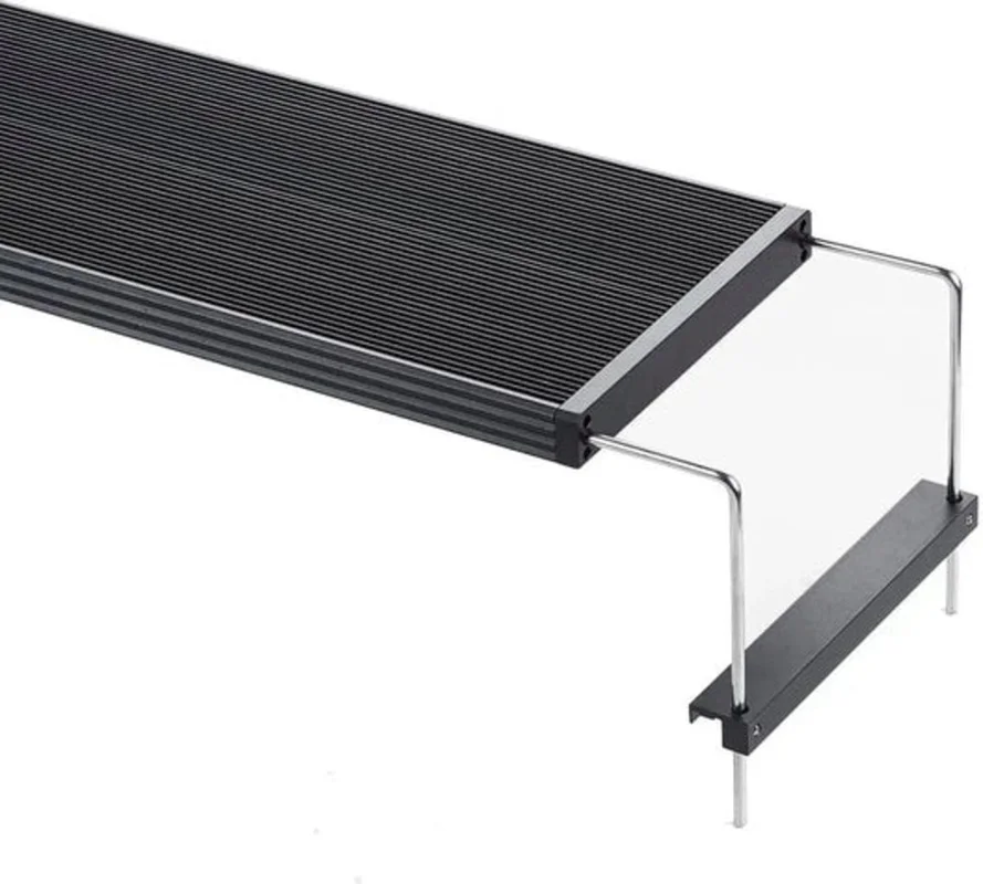 olibetta26710