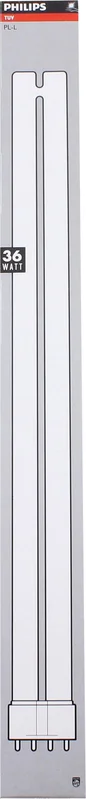 olibetta27203