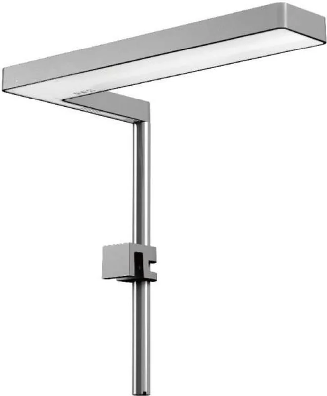 olibetta27222