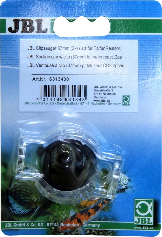 olibetta2750