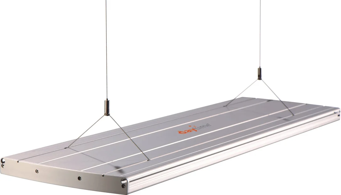 olibetta28603
