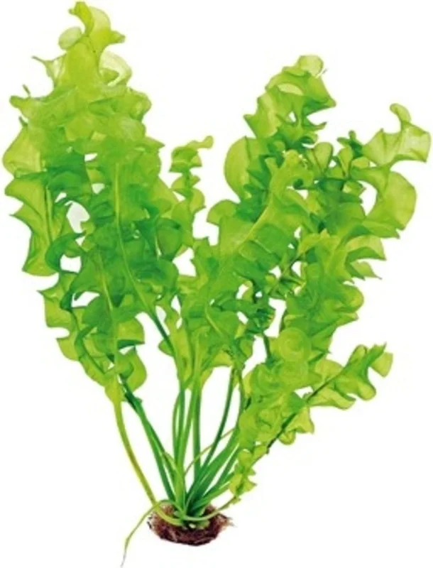 olibetta28701