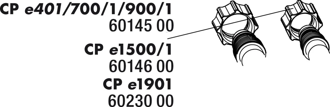 olibetta2893