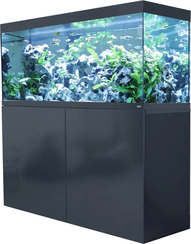 olibetta29162