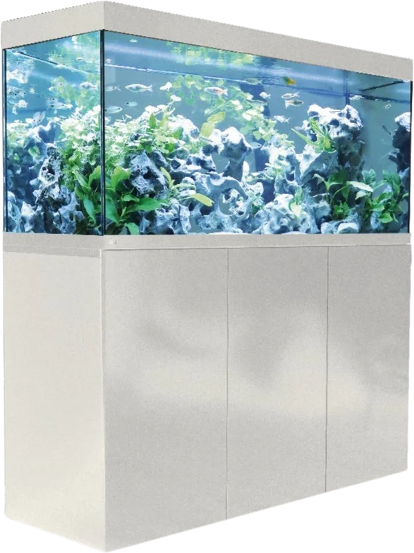 olibetta29168