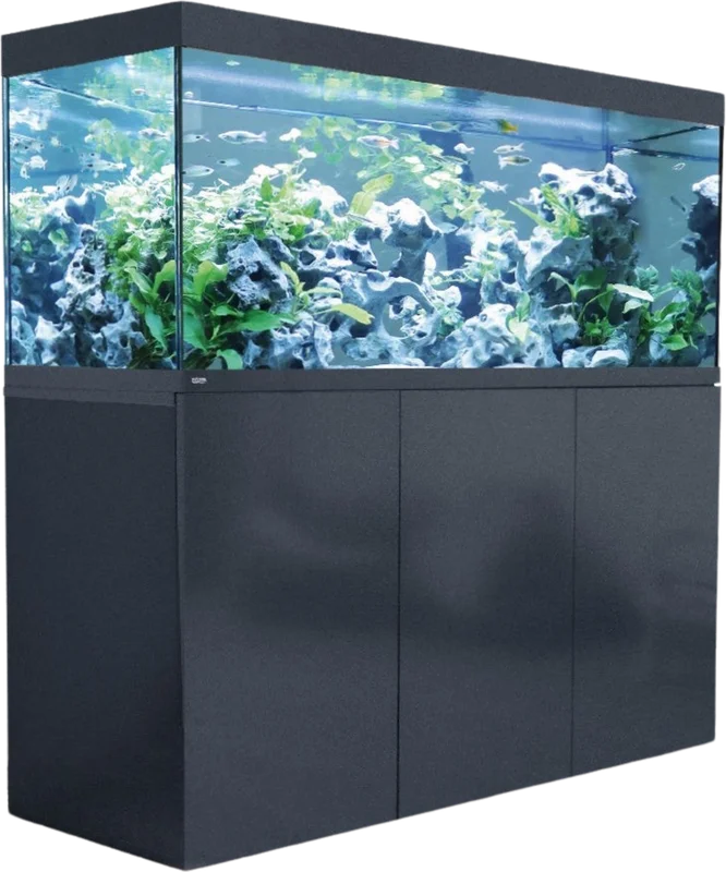 olibetta29178
