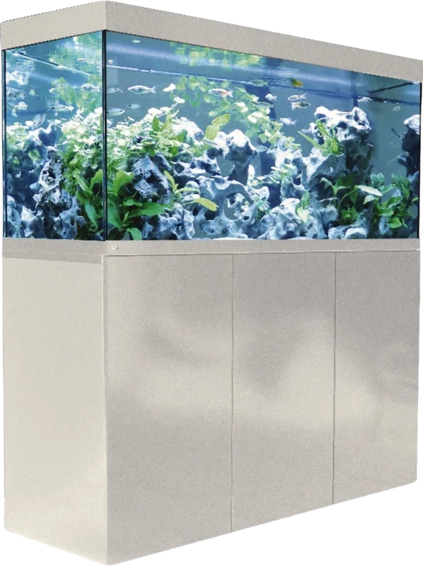 olibetta29185