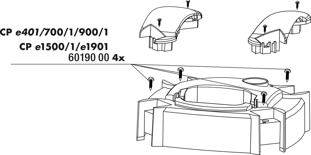 olibetta2980