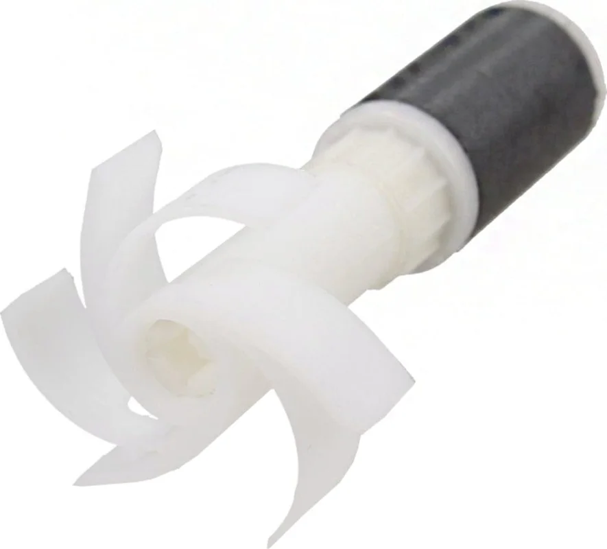 olibetta30043