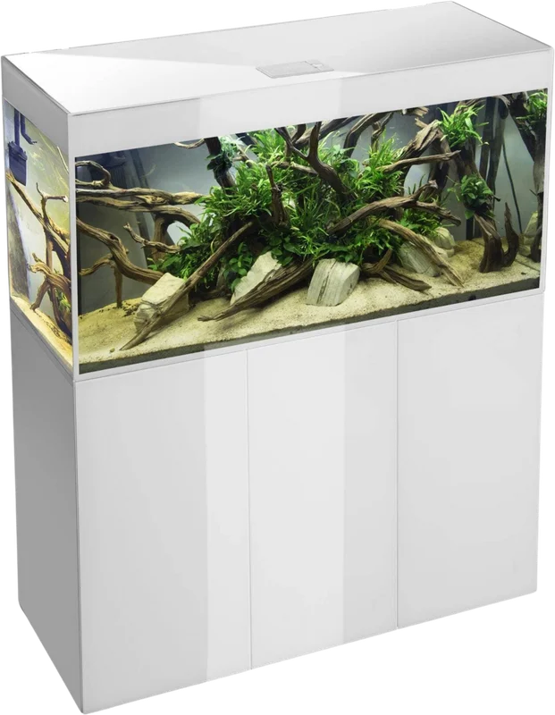 olibetta31159