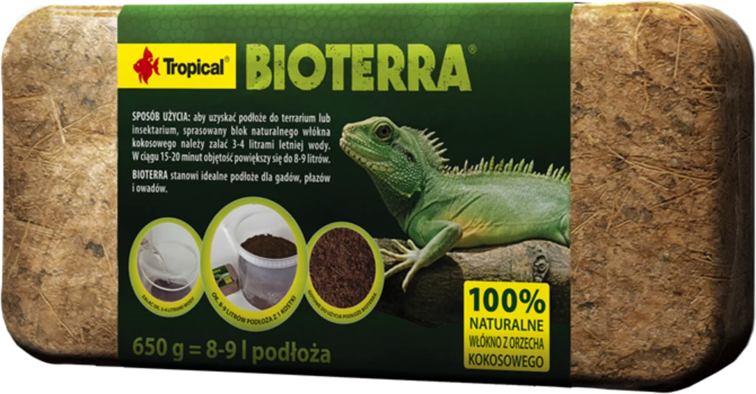 olibetta33417