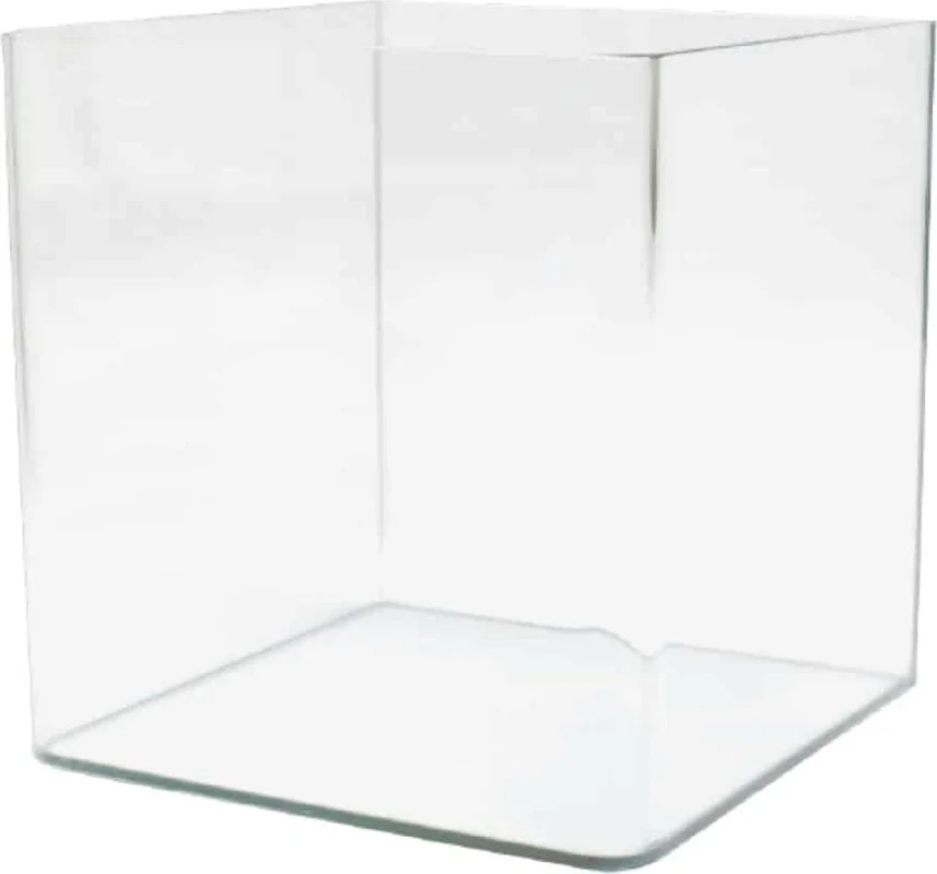 olibetta33486